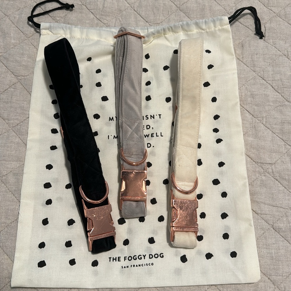The Foggy Dog Ivory, Black, & Gray Velvet Collars With Rose Gold Hardware - L